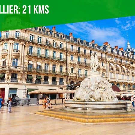 Le Palais Maya - Lumineux - Wifi Ла-Гранд-Мот Экстерьер фото