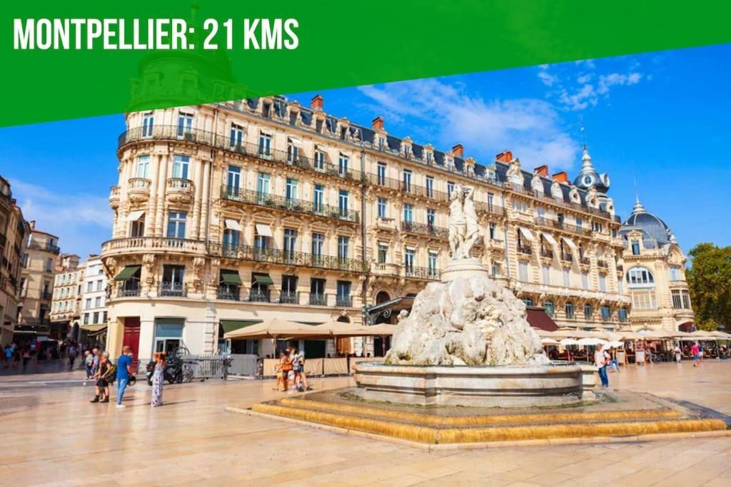 Le Palais Maya - Lumineux - Wifi Ла-Гранд-Мот Экстерьер фото